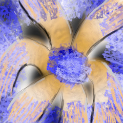 Doors to sudden unknown