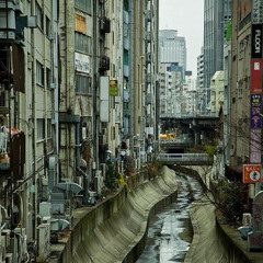 give it time w/ ibis