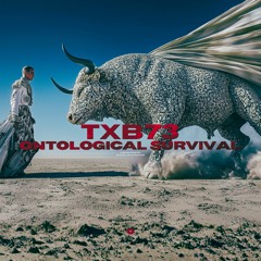 ONTOLOGICAL SURVIVAL 0