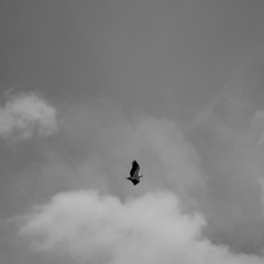 $teezy R$a x Pit Chaiin_Devotion$(Interlvde)