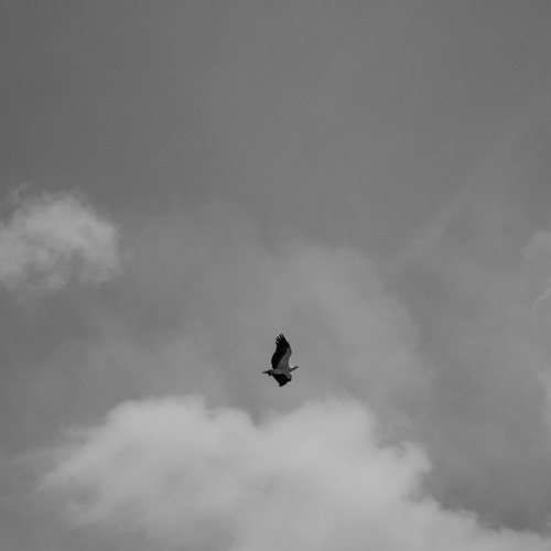 $teezy R$a x Pit Chaiin_Devotion$(Interlvde)