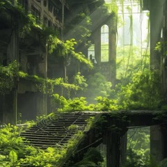 OUAREURY (1)