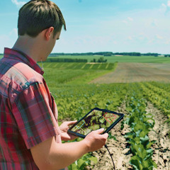 Revolutionizing Agriculture: Detecting Plant Diseases Early with Computer Vision
