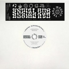 B1_Hektisch Sprengen DJs - Social Rub (DJ Chrysalis PDQ Remix)