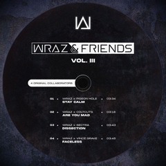 Wraz & ColtCuts - Are You Mad