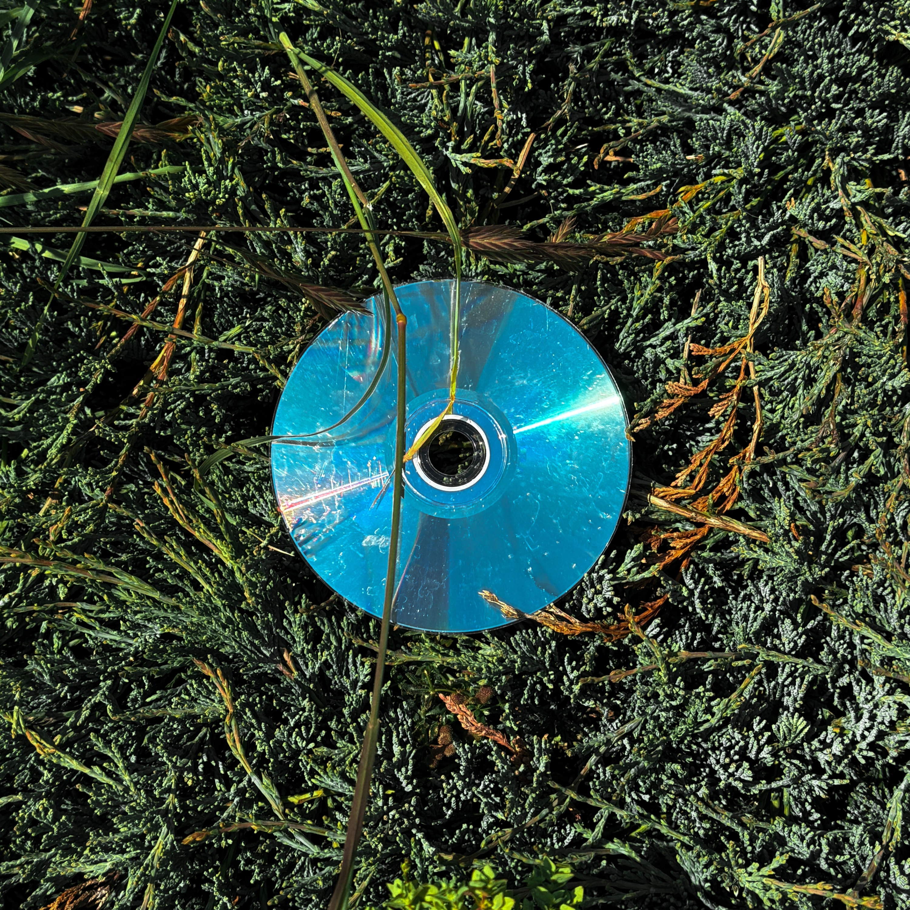 Portals episode artwork