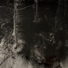 Сreator's Path