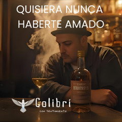 Quisera nunca haberte amado