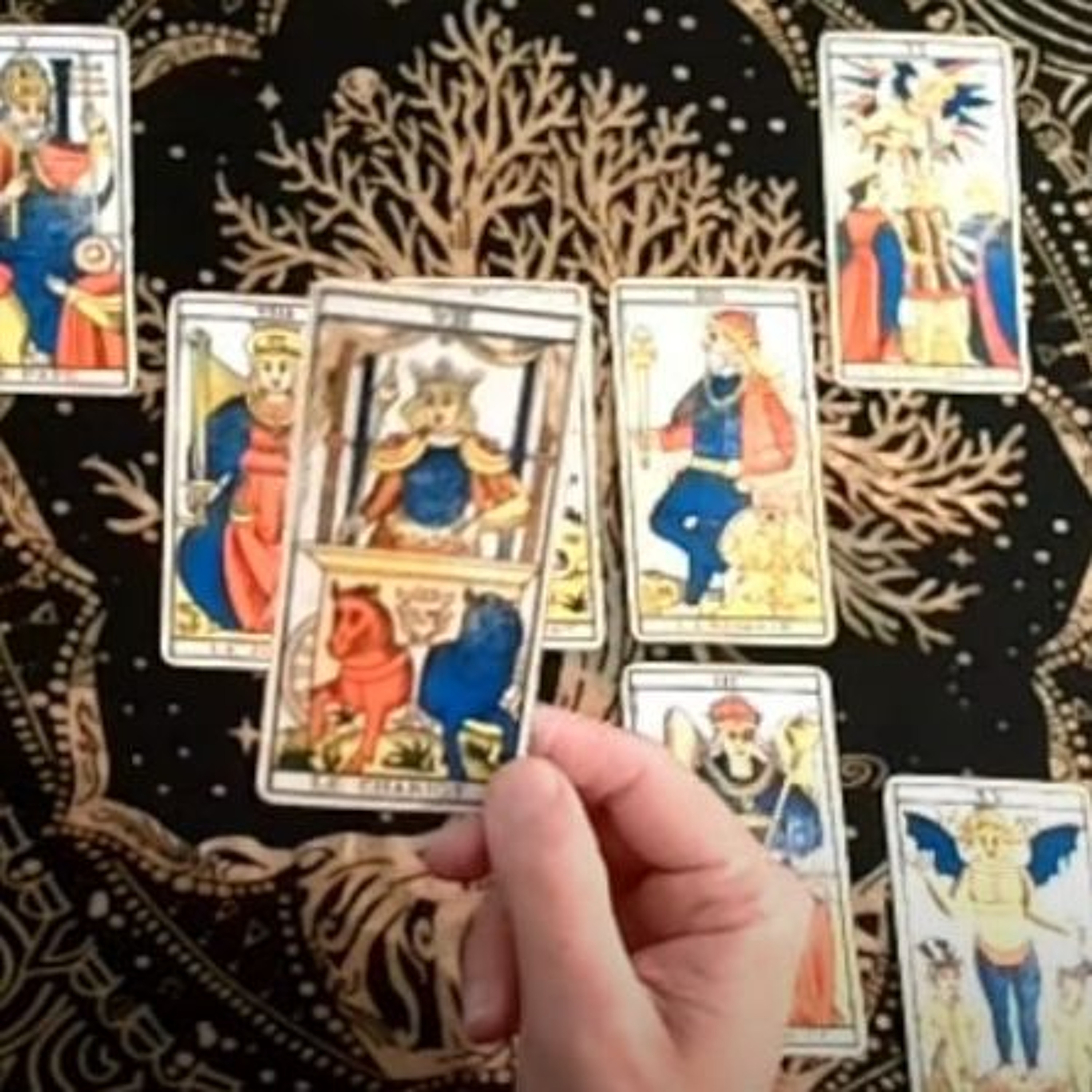 Christophe Voyance Quand Allons Nous Avoir Un Nouveau Premier Ministre En France