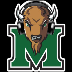 Rocking the Herd Play that Funky Music Gator