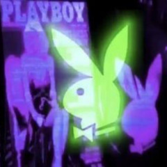 PlayBoy