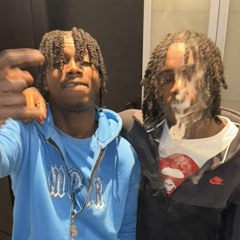 Nono la grinta X Merveille - Caillé