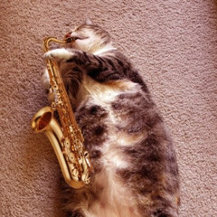 SAX DE CUNT