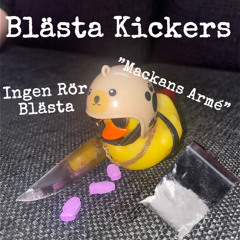 Wiking & Fippe - Kodnamn Mackan
