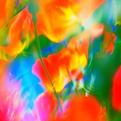 TENDER MERCIES