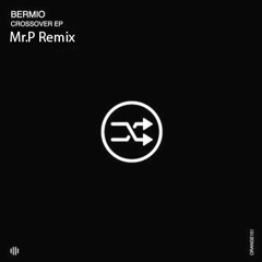 Bermio - Preliminary Extractions (Mr.P Remix)