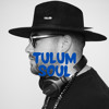 Tulum soul DJ mix artwork - Electronic music tracklist cover image