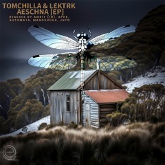 LEKTRK, Tomchilla - Del Fear (APHE Remix) PREVIEW