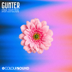 Free Your Mind (Feat. Gus Walker)