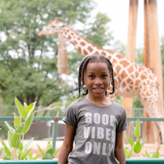 zoo