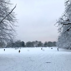 Bound for Christmas Day