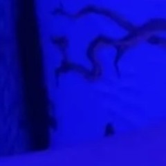 Bill Cosby x Defeat Song - Teachmehowtodance