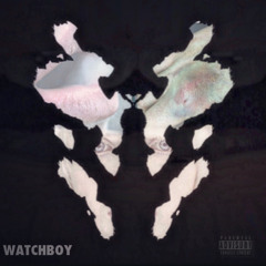 SteadyPacking (Watchboy)