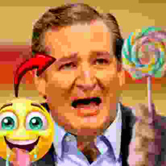 DIRT MERCHANT