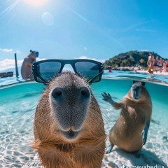 KHÔNG ĐƯỢC ĐÂU EM HỠI GÌ ANH ĐÃ CÓ GIA Đình REMIX!/ LẦN ĐẦU Anh ĐÂY MỚI QUEN EM REMIX HOT TREND