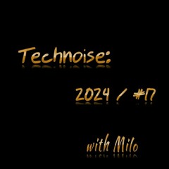 Technoise: 2024 / #17