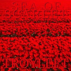 SEA OF SCARLET - Single Version
