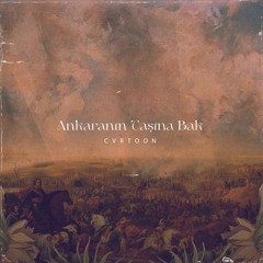 CVRTOON - Ankaranın Taşına Bak