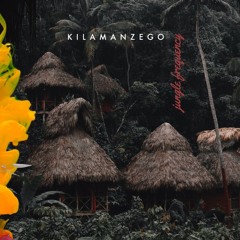 Jungle Frequency