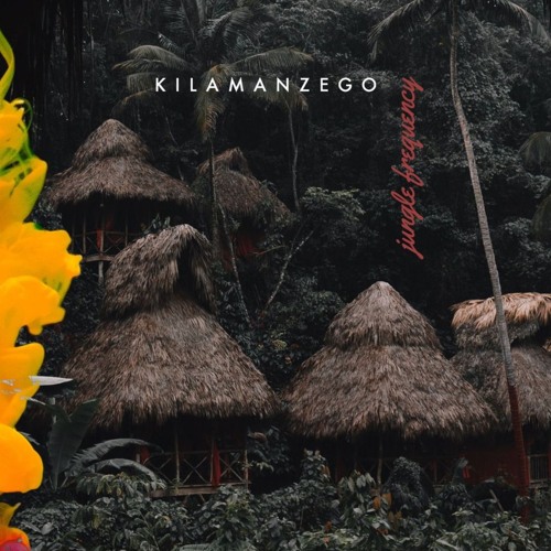 Jungle Frequency