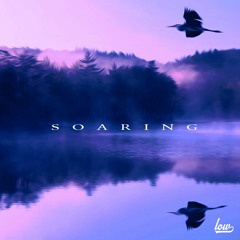 Lowcation - Soaring