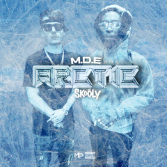 Arctic (feat. Skooly)