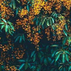 And you know I keep that vibe on me