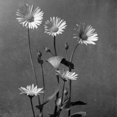 계절의 향기 (The scent of the season) guide 2024 - MODERN BRIDGE