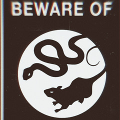 Rats n Snakes Ft B100