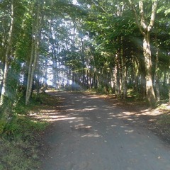 It's Very Beautiful Over There