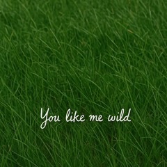 You Like Me Wild