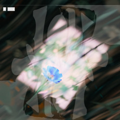 rodion| Downtempo: A Personal Journey into Melancholic Narratives