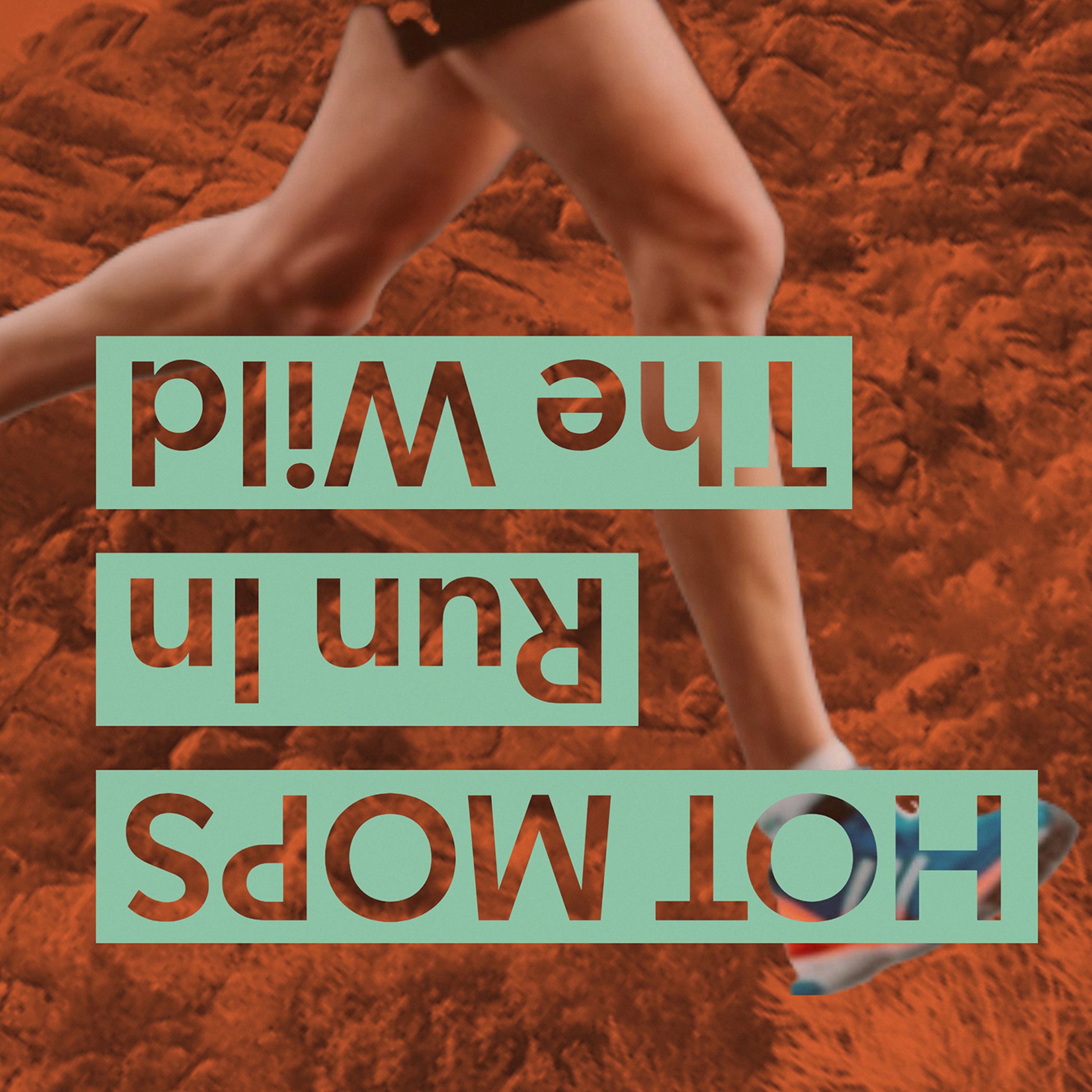 Run In The Wild episode artwork