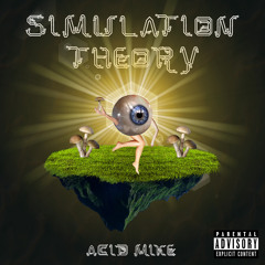 Simulation Theory