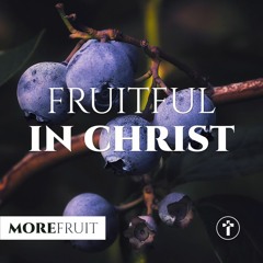 More fruit: Fruitful in Christ | Louis Kotzé