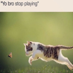 Cody Luv - 3starlife