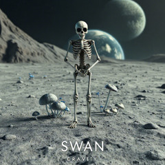 Gravity