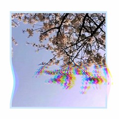 Ssighborggg Feat. Luna- Time Eater (Gold Panda Recover)