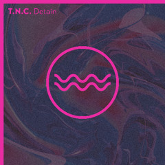 PREMIERE: T.N.C. - Vanity (Original Mix) [Traful]