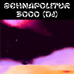 Schnapolitur3000 DJ